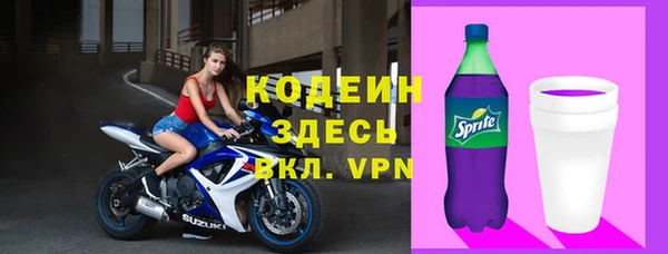 spice Богородск
