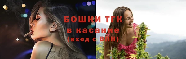 spice Богородск