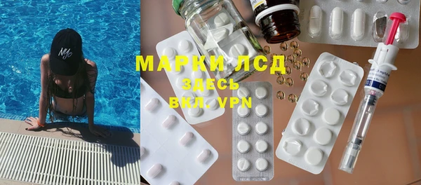 spice Богородск