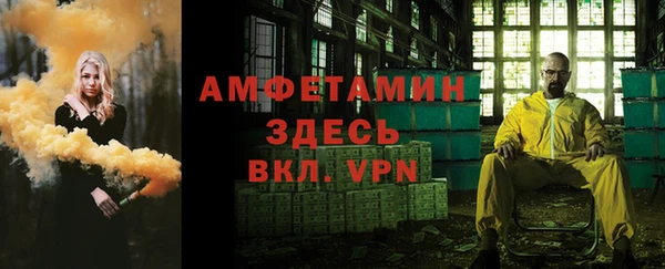 spice Богородск