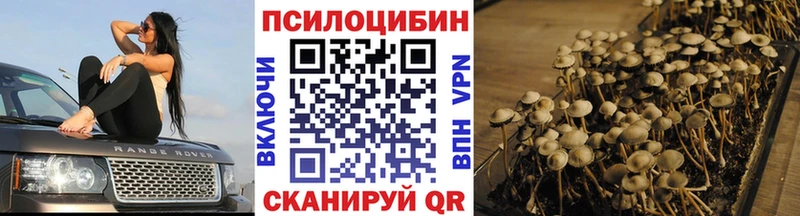 что такое наркотик Свободный Псилоцибиновые грибы мухоморы