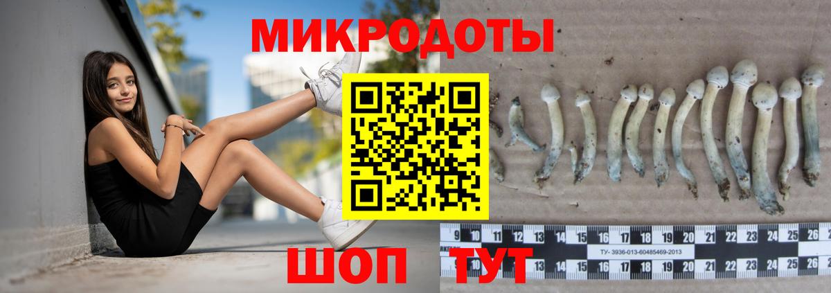 Псилоцибиновые грибы мухоморы Свободный